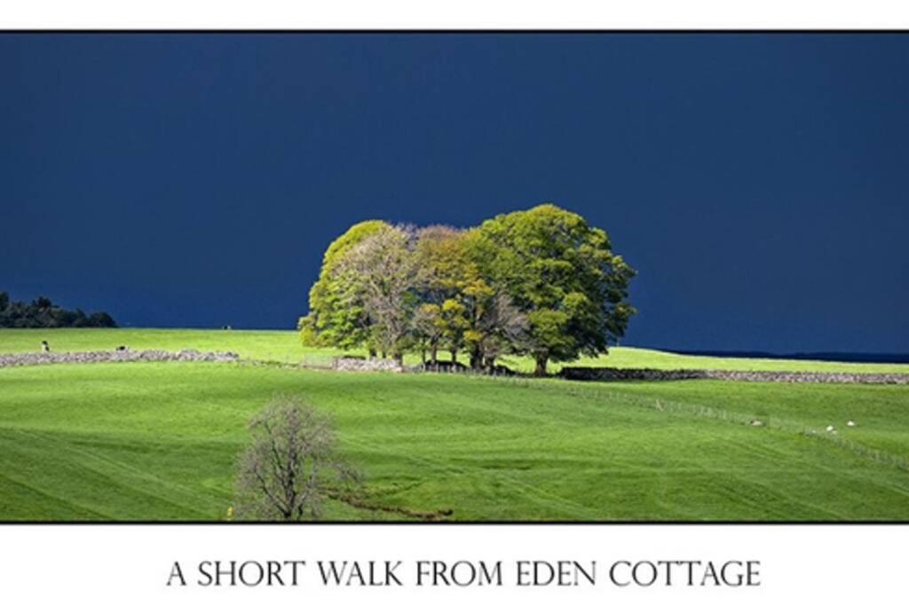 Lake District Romantic Get Away In 1 Acre Gardens Off M6 Penrith Exterior foto